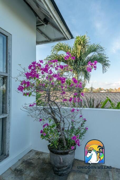Villa Eva - By Unicorn Villas Bali Uluwatu Eksteriør billede